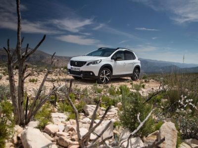 PEUGEOT2008_PRESSTESTDRIVE_1605_ (107)